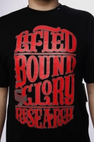 Футболка LRG D091003 Bound For Glory Black артикул 5351c.